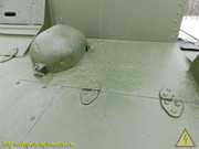 DSCN7768