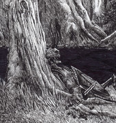 5-la-busqueda-termino