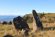 IMG-0161