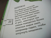 https://i.postimg.cc/XpFjdMwY/100-8571.jpg