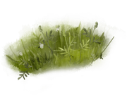 emeto-summer-playground-grass-overlay-2