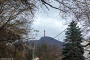 IMG-2364
