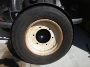 IMG-5192.jpg