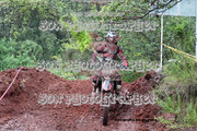 IMG-6309