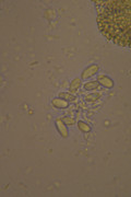 [Obrázky: DSC-0184.jpg]