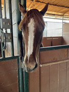 BB7DAC53-8A86-4EFC-B0AE-73E9DBE5DE4C