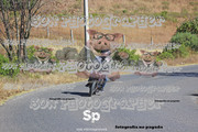 IMG-2350