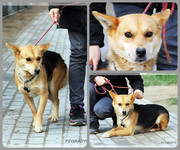 Be-Funky-collage-24.jpg&key=855dd0f27b82