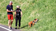 [Imagen: Hund-von-Lewis-Hamilton-GP-Steiermark-Sp...808568.jpg]