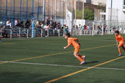 IMG-3802