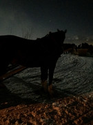 BF901735-3-F98-4-ED6-9-B71-F041894-E1-BD