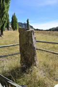 DSC-0006
