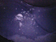 Photo_2025-06-05 21_22_05_705