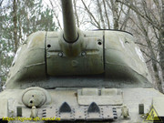 DSCN5981