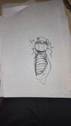 IMG-20240229-183932575
