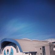 IMG_20140920_160118_resize