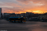 IMG-4532