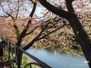 photo 28 2025 12 17 21 28 21