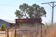 DSC-0030