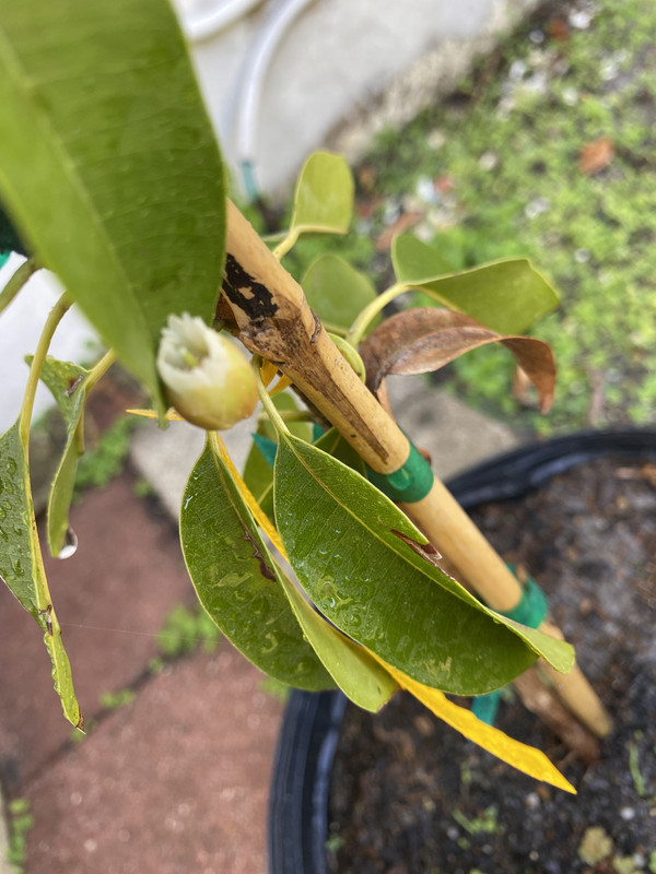 CCEF0264-E27B-45E8-813D-6B5137DD56A7