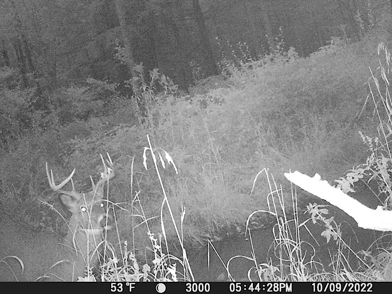 88E046E2-5935-4054-A50D-F5DE255136D1