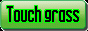 touch grass