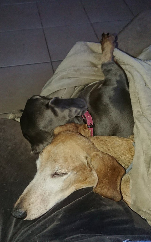 [Image: 20241214-164731.jpg]