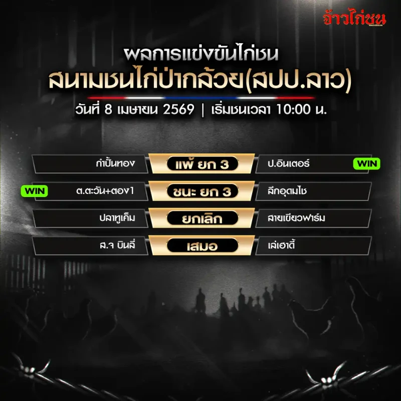 สรุปผลไก่ชน สนามชนไก่ป่ากล้วย 8 เมษายน 2569