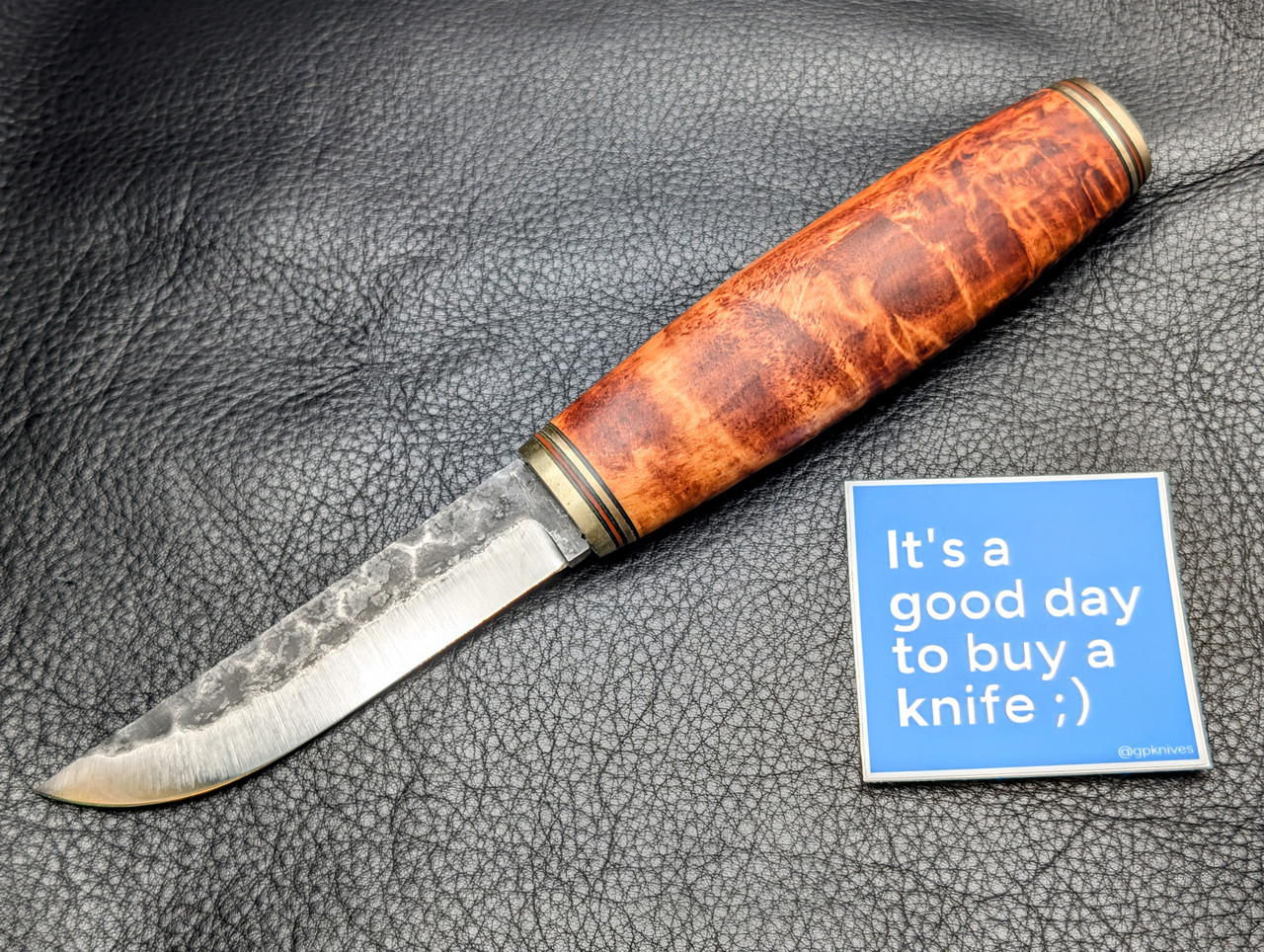 PXL 20260213 023544460 2