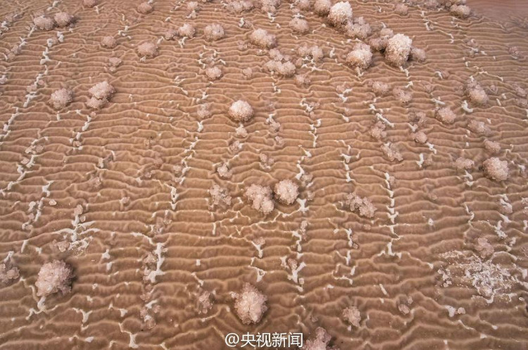 [Image: sa-mac-hong-5.jpg]