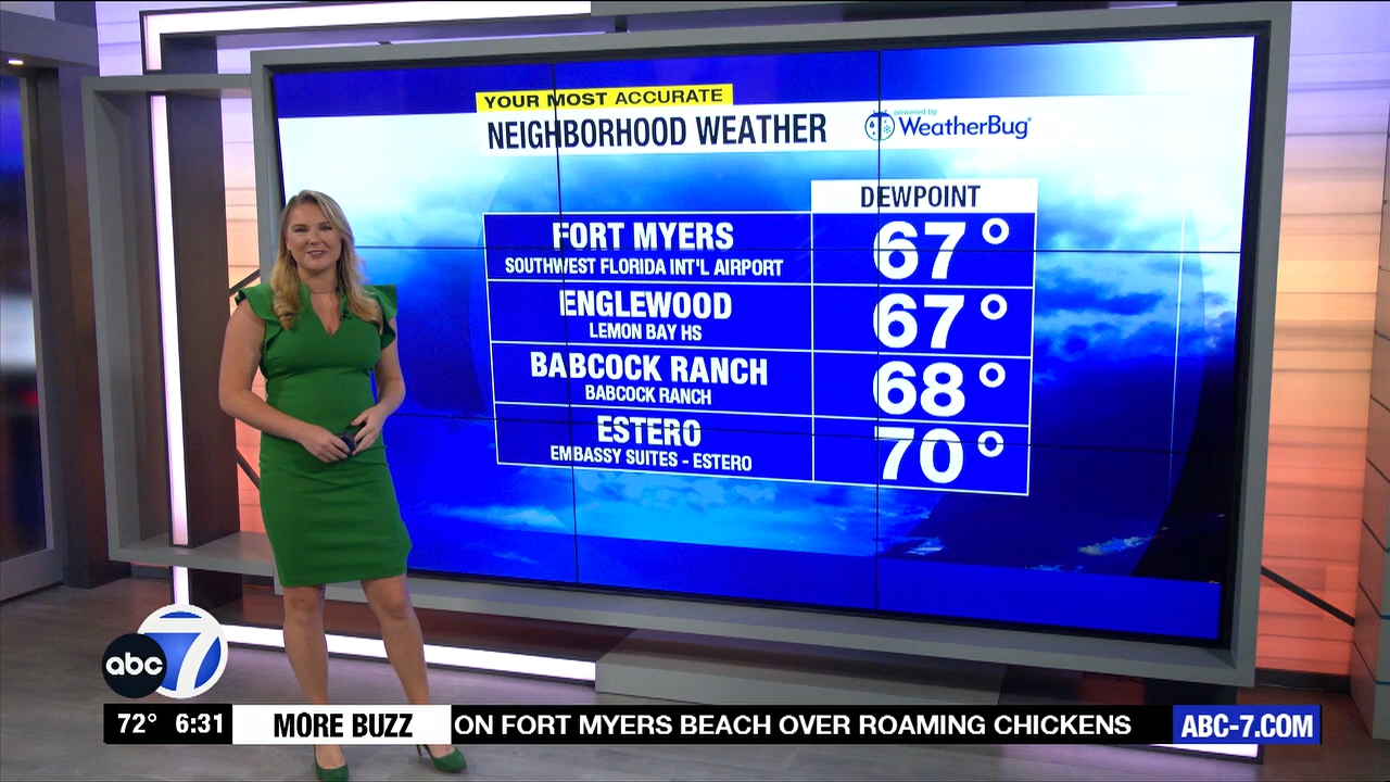 ABC7 More in the Morning Wkn 6am Sa_20230923_11001200.ts_snapshot_00.31.56.404