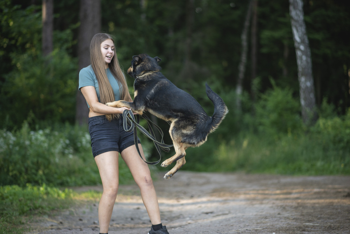 610_1193_барановичи