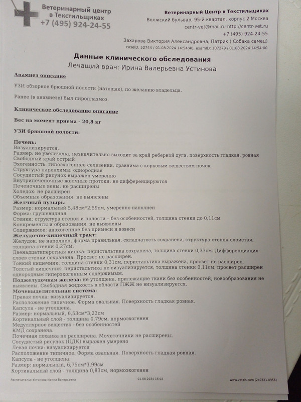 20240801-150745.jpg