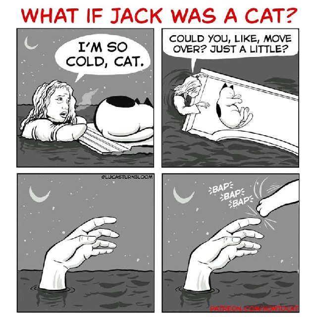 cat-jack.jpg