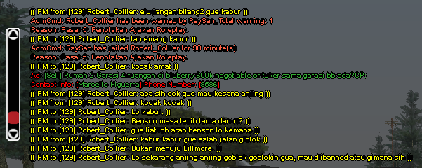 report-playerr.png