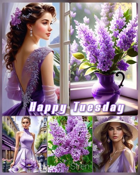 TUESDAY-mardi-24