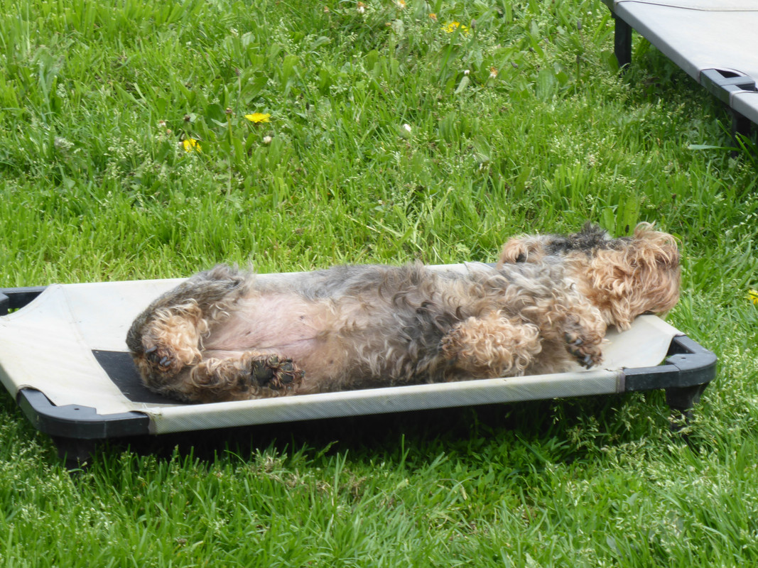 [Image: P1020623.jpg]