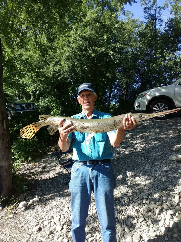 67243492_466767127452766_3913231019343347712_n