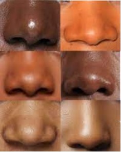 nose.jpg