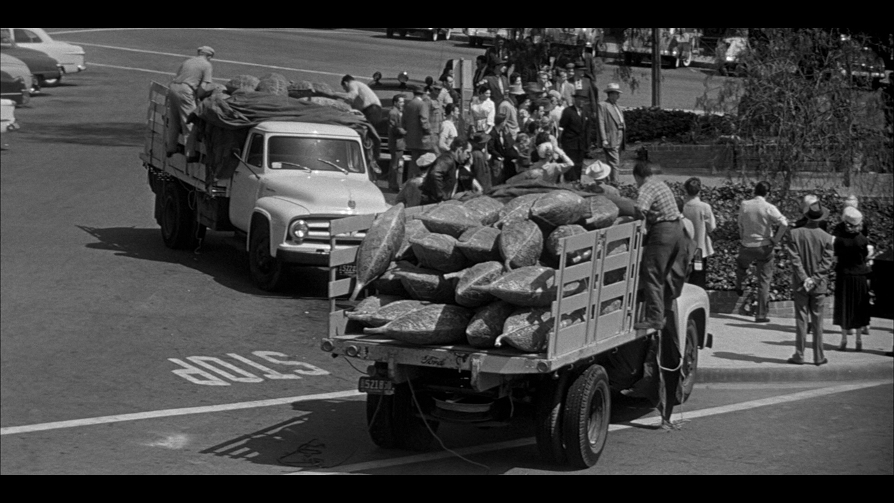 INVASION OF THE BODY SNATCHERS REFERENCE (9)