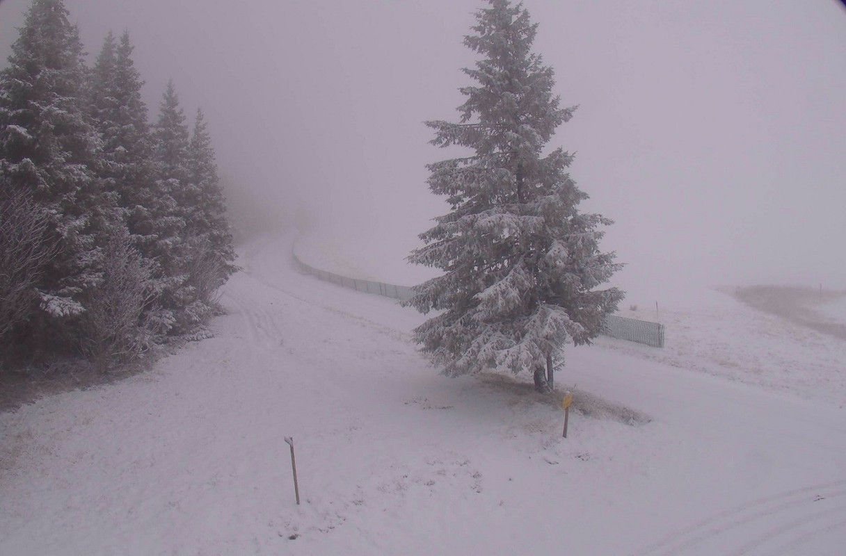 les-estables-ski-nordique-2022-11-30-09-
