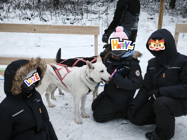 --DÍA 4 (2 diciembre): Tour Renos, Huskys y Moto de nieve - Rovaniemi 2025 (2)