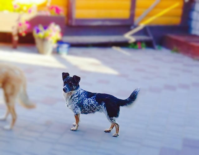 F3E91BEF-8A68-4224-96BF-B7A36E3C74B5