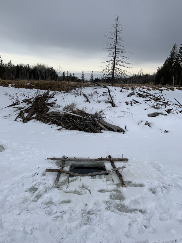 0CEB4BA1-1546-493E-9B4F-454C7A8C3301