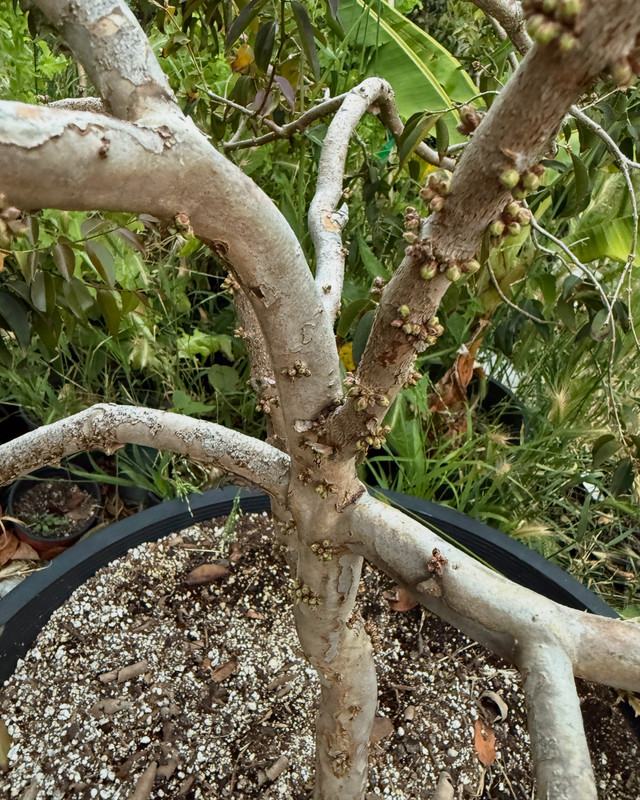 91C23708-F3B1-40A7-A8F1-DC0C1A33239F