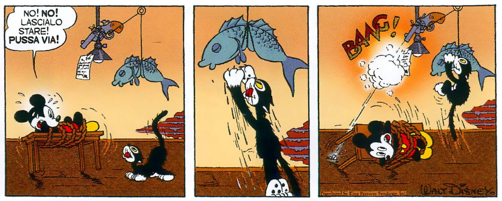 20250513-macchia-nera-trappola-gatto03