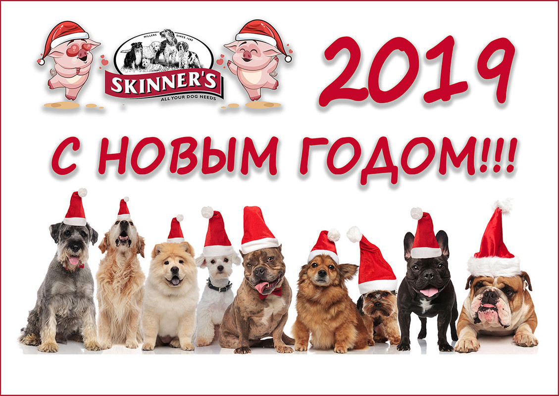 Новый Год 1200