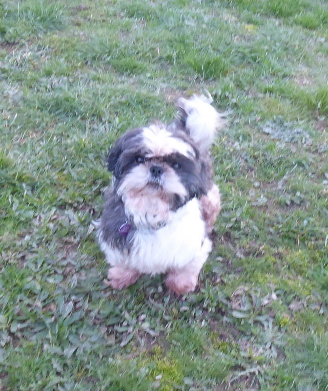 [Image: P1010969.jpg]