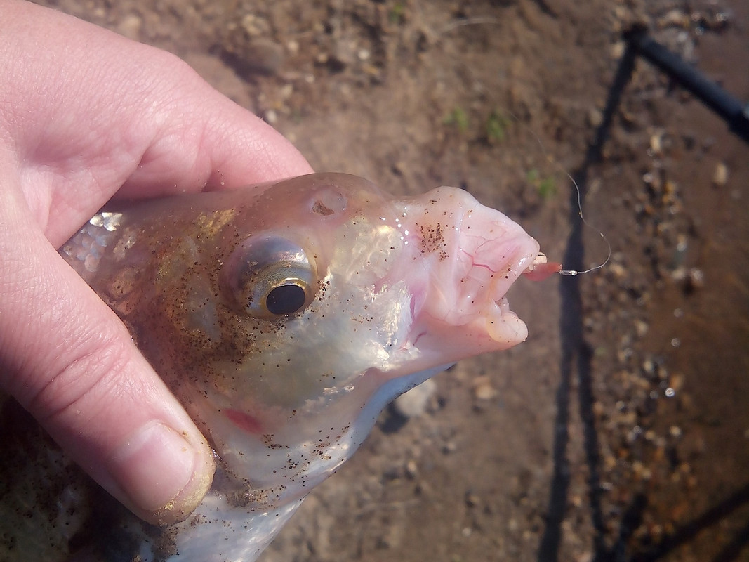 Пермь, 3-я Набережная 21.05.15. 02