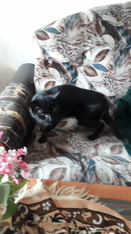 52224870-741E-42F7-A3E5-1F5A73B7E4A7